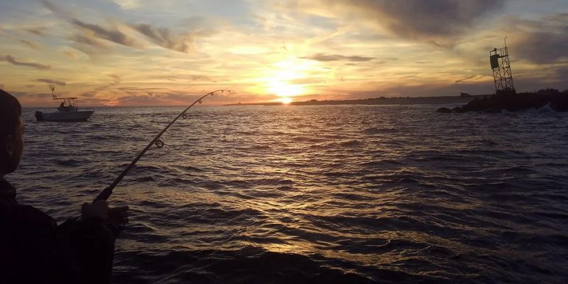 Fishing Charters Englewood FL | Sunset Tours ( Customizable Trip )